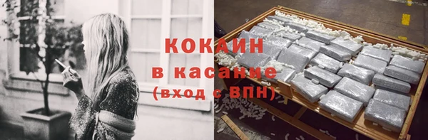 дмт Богородицк