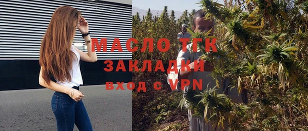 ECSTASY Богданович