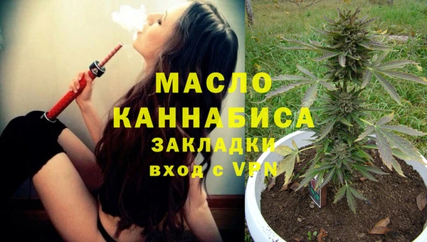 ECSTASY Богданович