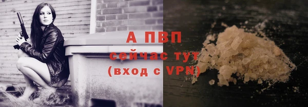 трава Иннополис