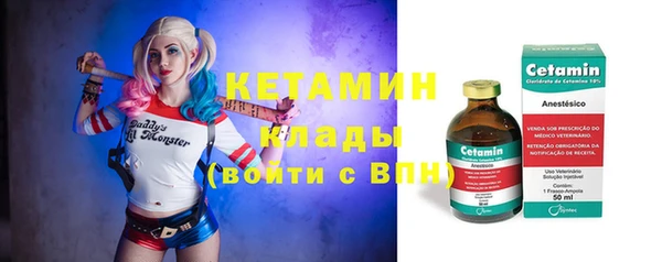 дмт Богородицк