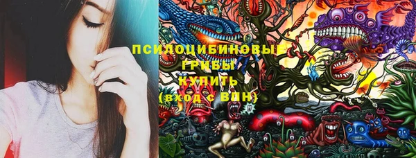 ECSTASY Богданович