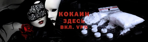 ECSTASY Богданович
