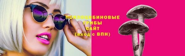 дмт Богородицк