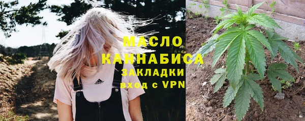 дмт Богородицк