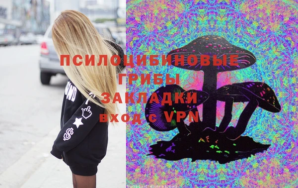 ECSTASY Богданович