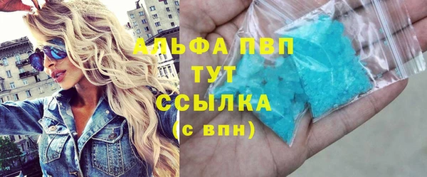 ECSTASY Богданович