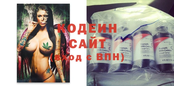 ECSTASY Богданович