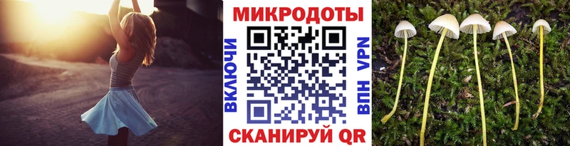 Псилоцибиновые грибы Magic Shrooms  мега как войти  Кириши  дарнет шоп 